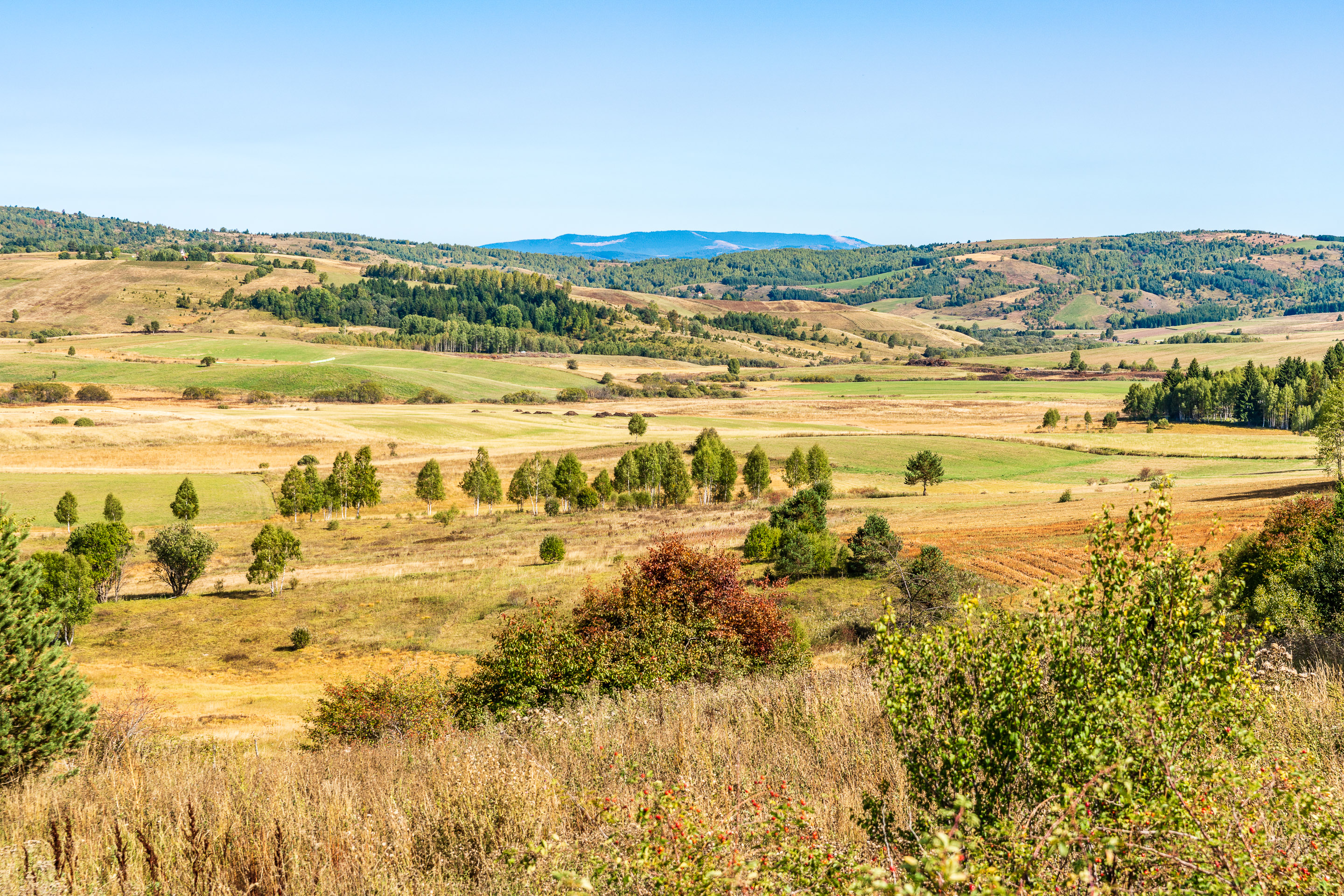Uvac Lake, Pester Plateau